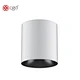 surface mounted downlight